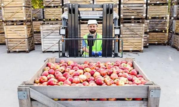 Buenas prácticas para exportar frutas desde Perú con éxito