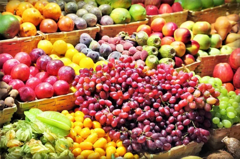 Cómo exportar frutas desde Perú Guía completa para llegar