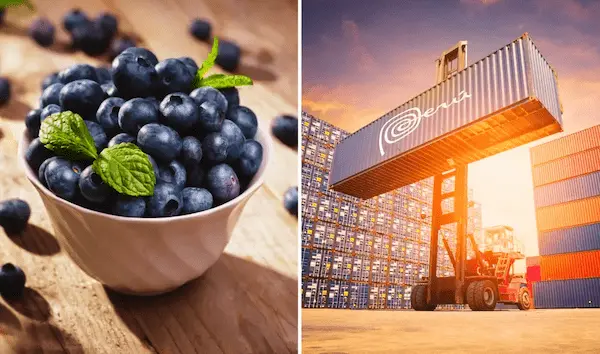 Mercados internacionales más atractivos para frutas peruanas