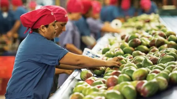 Por qué exportar frutas desde Perú es una gran oportunidad