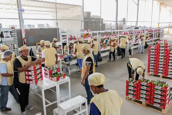 Requisitos sanitarios y certificaciones obligatorias