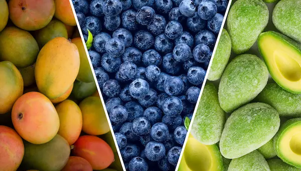 Transporte y logística internacional de frutas