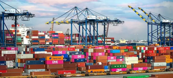 Cómo asegurar una importación eficiente y sin contratiempos