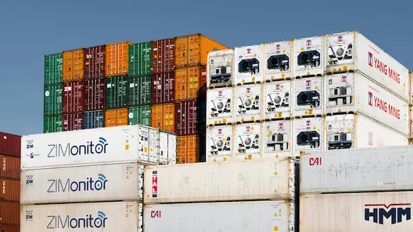 importadores y exportadores