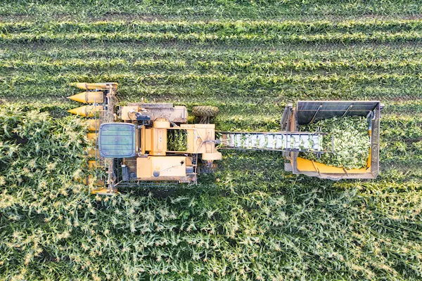 exportación de productos agroindustriales