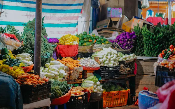 Preguntas frecuentes sobre la exportación de productos agroindustriales