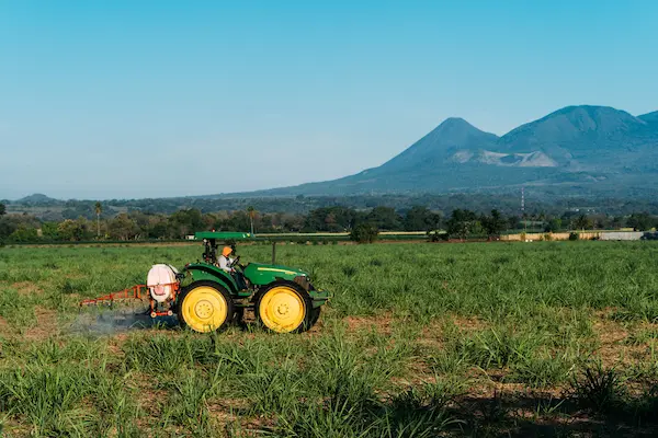 Requisitos para la exportación de productos agroindustriales