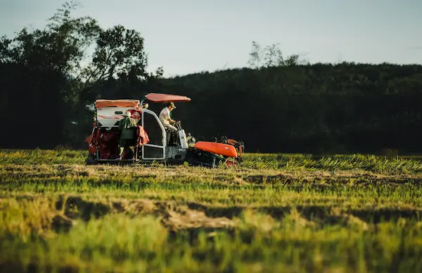 ¿Qué es la exportación de productos agroindustriales?