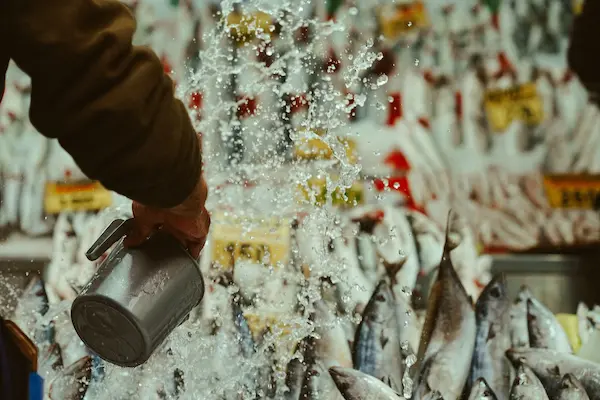¿Qué implica exportar harina de pescado?